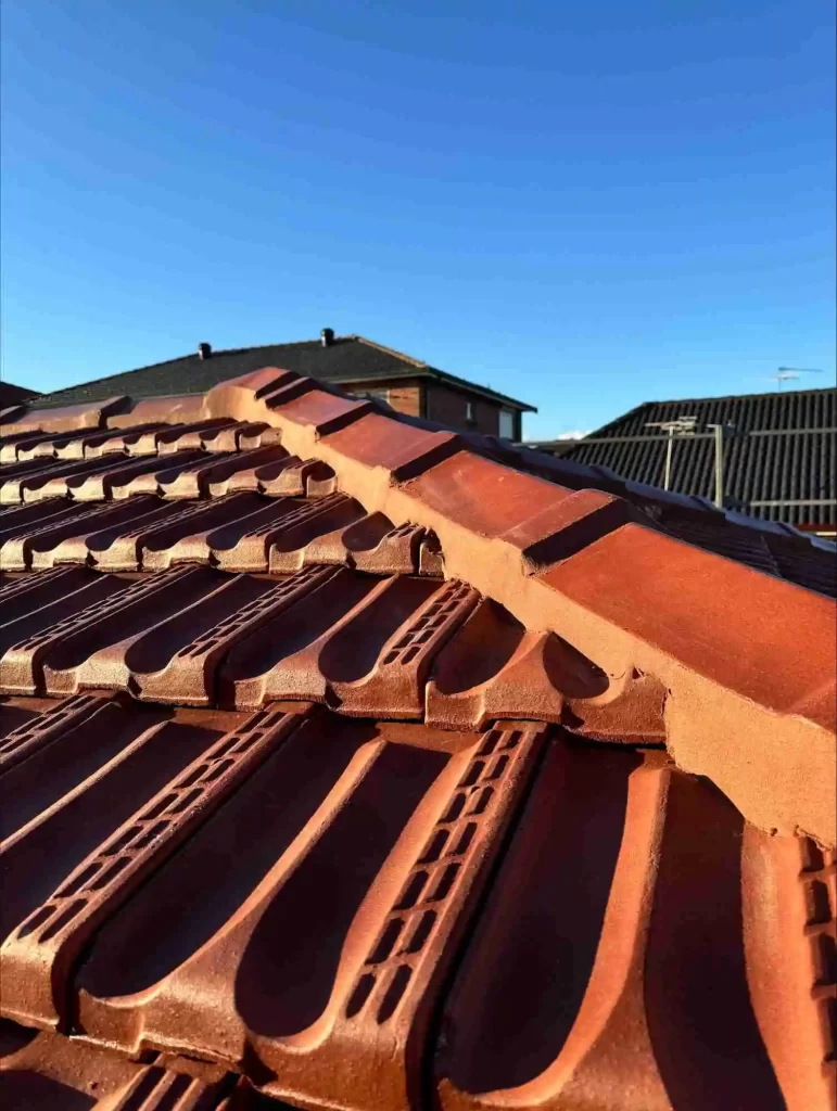 Roof-cleaning-Sydney