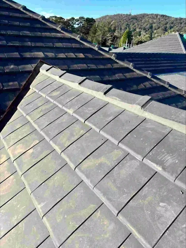 Roof-Restorations-Sydney