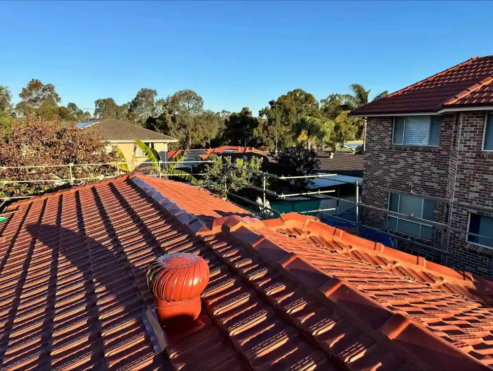 Gutter_cleaning-Sydney