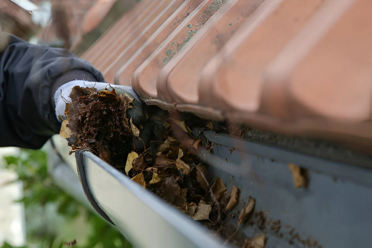 The-Importance-of-Regular-Gutter-Cleaning-Services