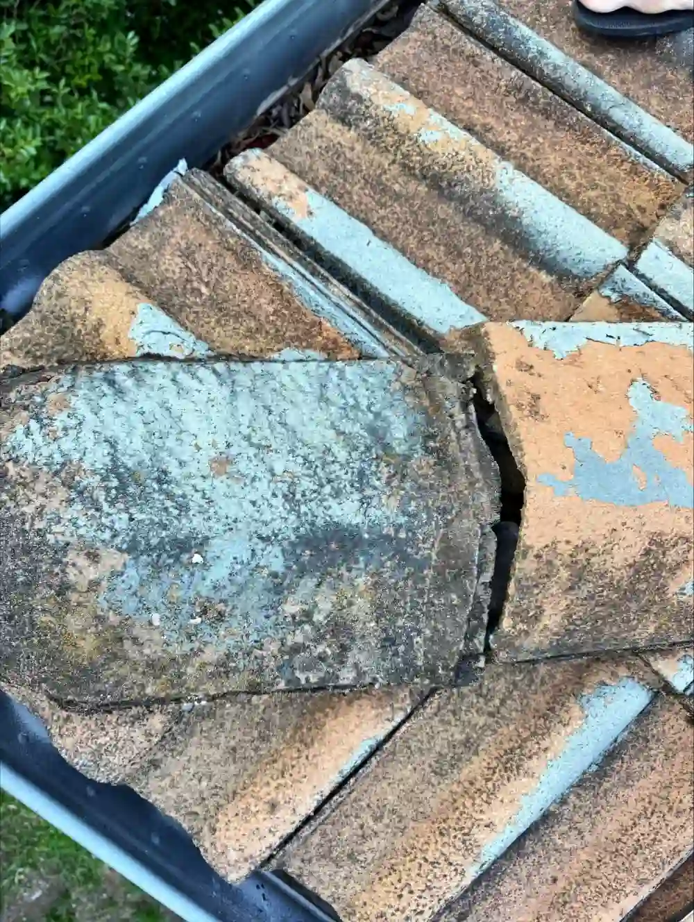 Best-Gutter-Cleaning-Services-in-Sydney-and-Surrounding-Areas