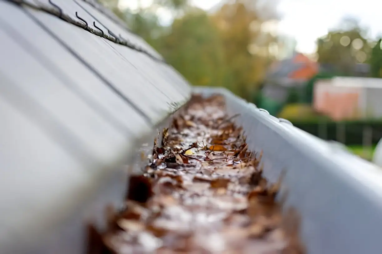 Importance-of-Gutter-Cleaning-Services