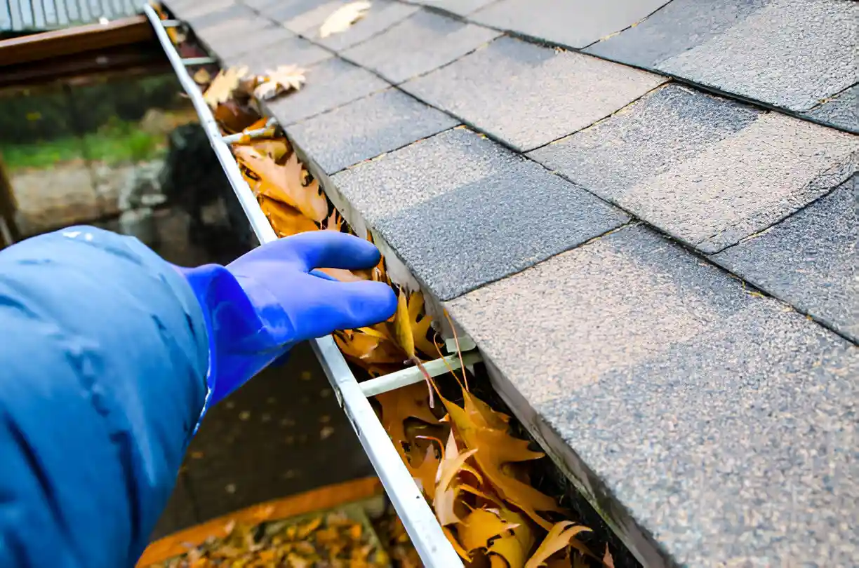 How-often-should-you-get-gutter-cleaning-in-Sydney