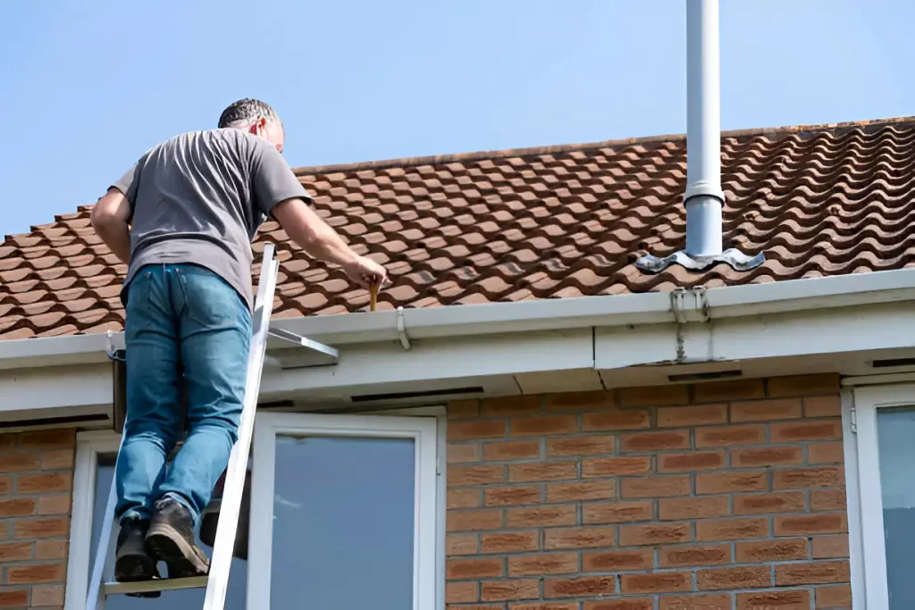 Professional-vs.-DIY-Roof-Cleaning-in-Sydney