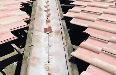 roof repair